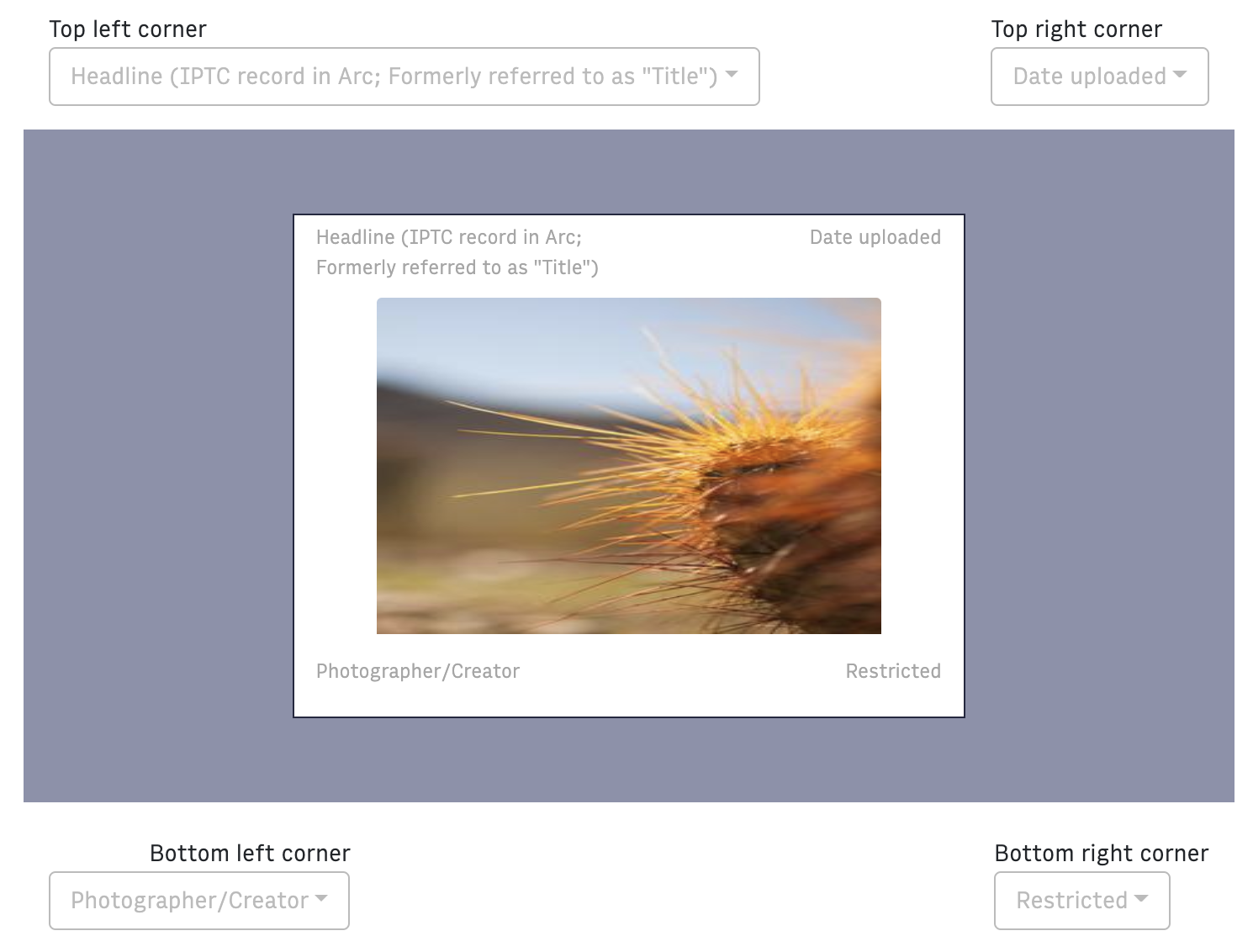 con_photo_center_metadata_fields_corners.png