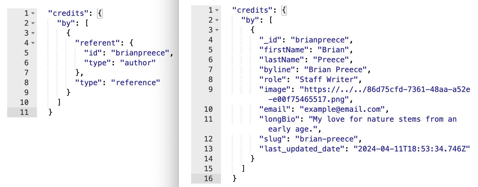 con_referent_syntax_denormalized_reference.jpg